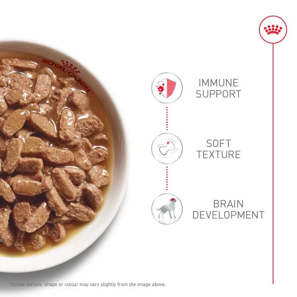 Royal Canin X-Small Puppy Thin Slices in Gravy Canned Dog Food, 85g - Image 2