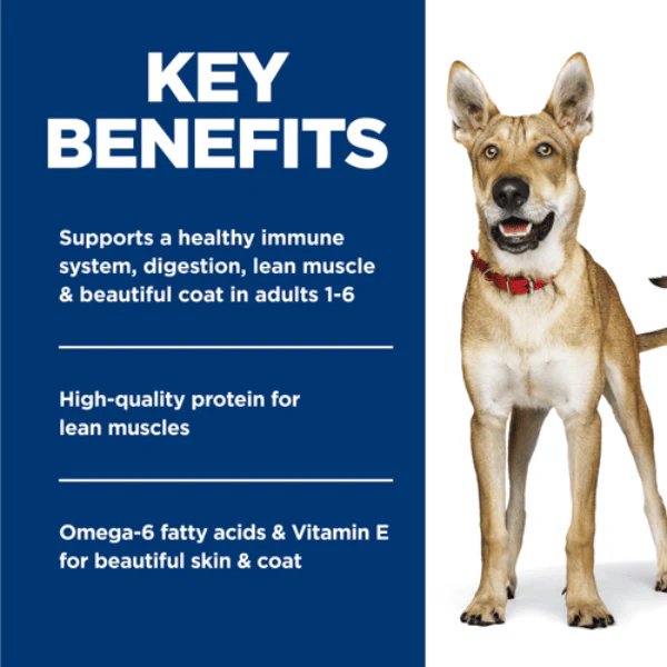 Science Diet Beef & Barley Entree Adult Canned Dog Food, 13oz - Image 3