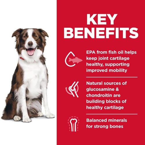 Science Diet Adult Large Breed Healthy Mobility Chicken Recipe Dry Dog Food, 30lb - Image 2