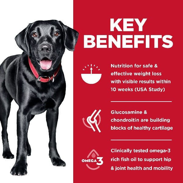 Science Diet Adult Large Breed Perfect Weight & Joint Support Chicken Recipe Dry Dog Food, 25lb - Image 2