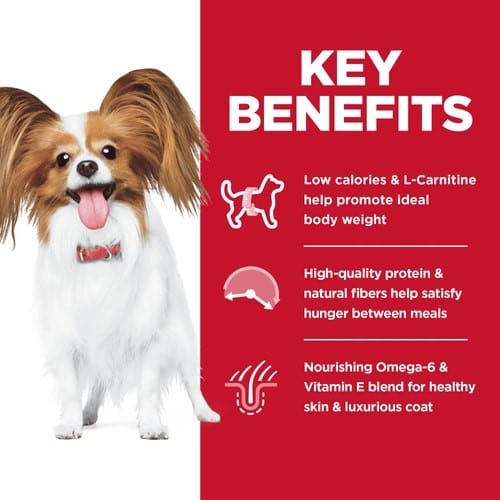 Science Diet Adult Light Small & Mini Chicken Meal & Barley Dry Dog Food, 4.5lb - Image 5