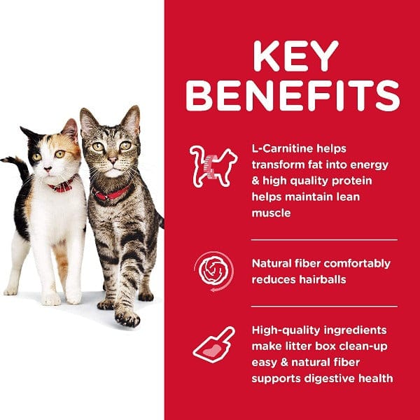 Science Diet Adult Multiple Benefit Chicken Recipe Dry Cat Food - Image 2