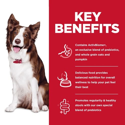 Science Diet Adult Perfect Digestion Chicken Recipe Dry Dog Food, 22lb - Image 2