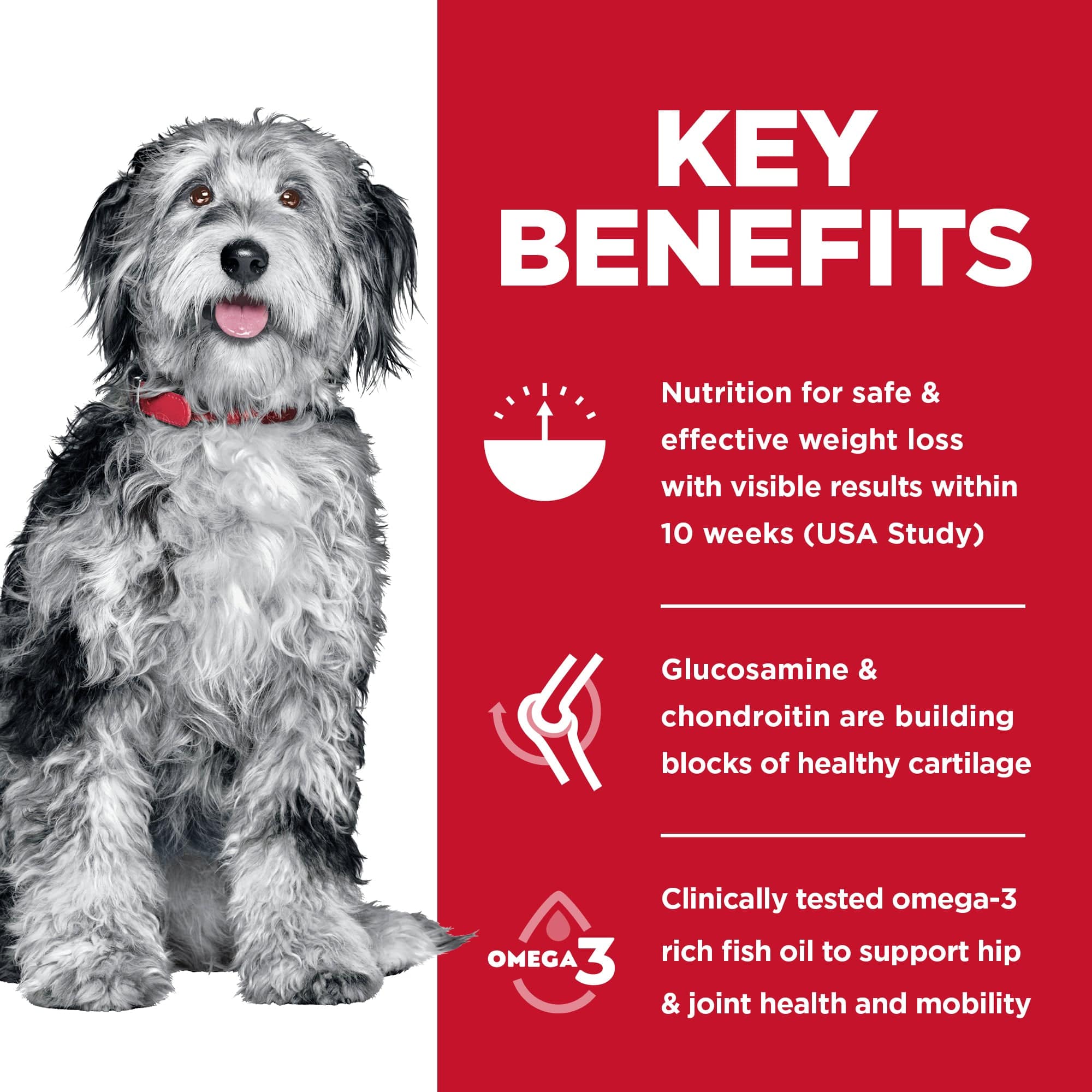 Science Diet Adult Perfect Weight & Joint Support Chicken Recipe Dry Dog Food - Image 2