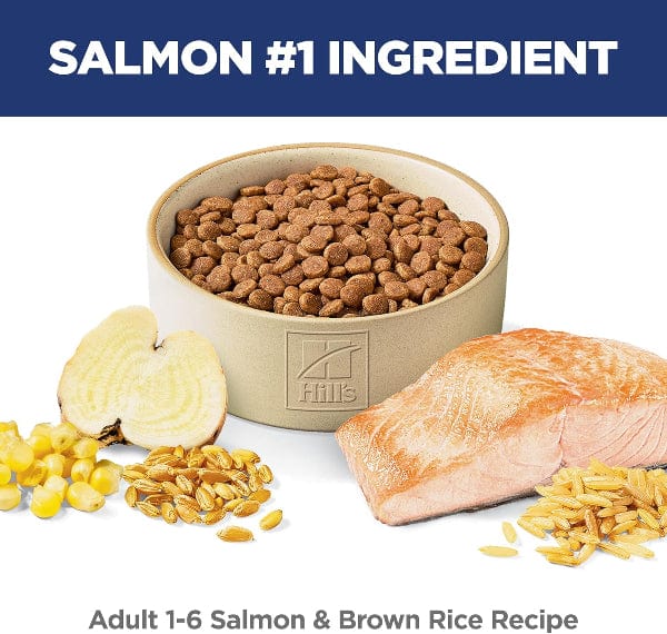 Science Diet Adult Salmon & Brown Rice Recipe Dry Cat Food - Image 4