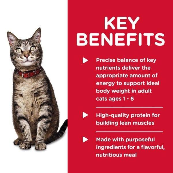 Science Diet Adult Savory Chicken Entree Canned Cat Food, 5.5oz - Image 3