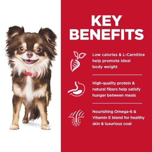 Science Diet Adult Sensitive Stomach & Skin Small & Mini Dry Dog Food, 4lb - Image 2