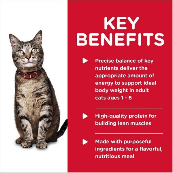 Science Diet Tender Chicken Dinner Adult Canned Cat Food, 5.5oz - Image 3