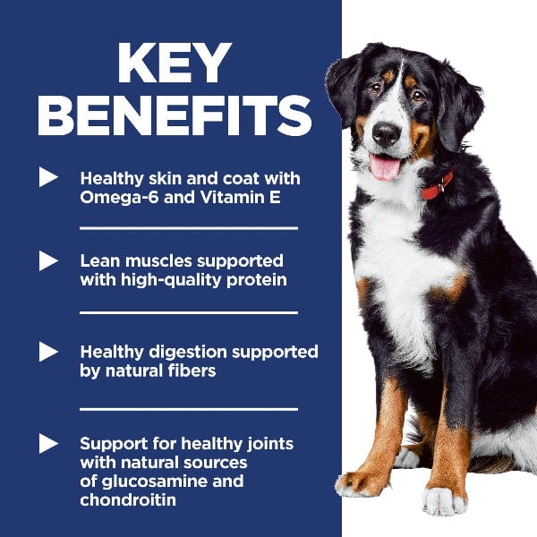 Science Diet Adult Large Breed Chicken & Barley Recipe Dry Dog Food, 35lb - Image 4