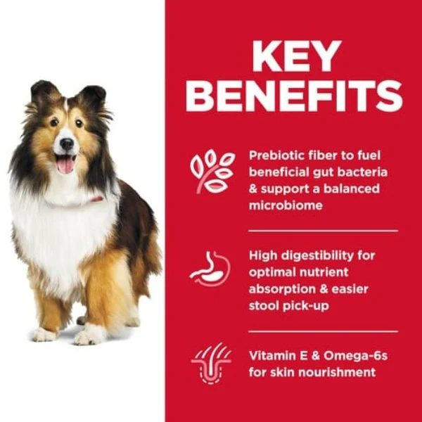 Science Diet Adult Sensitive Stomach & Skin Dry Dog Food - Image 2