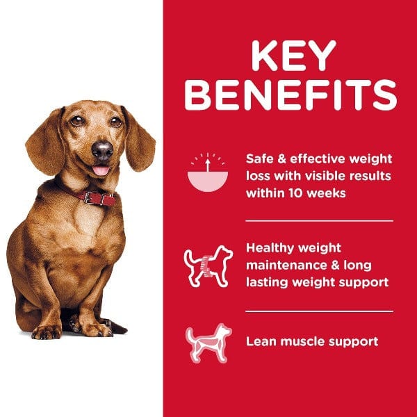 Science Diet Adult Perfect Weight Small & Mini Chicken Recipe Dry Dog Food, 4lb - Image 2