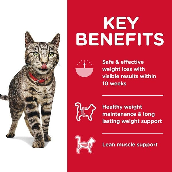 Science Diet Adult Perfect Weight Chicken Recipe Dry Cat Food - Image 2