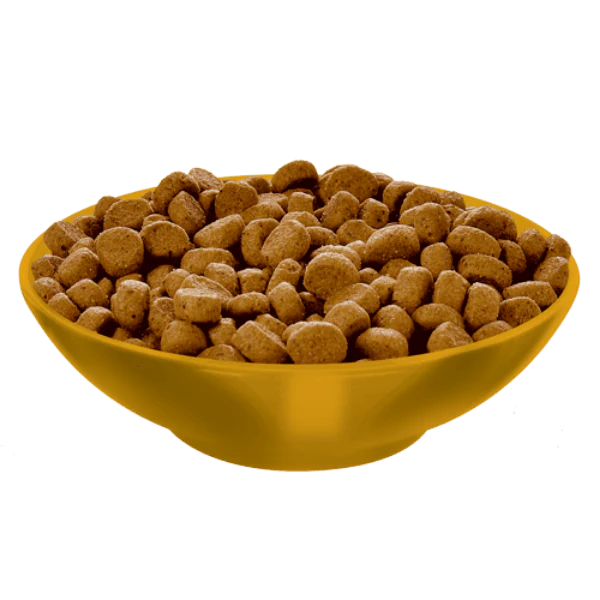 Science Diet Adult Perfect Weight Chicken Recipe Dry Cat Food - Image 3