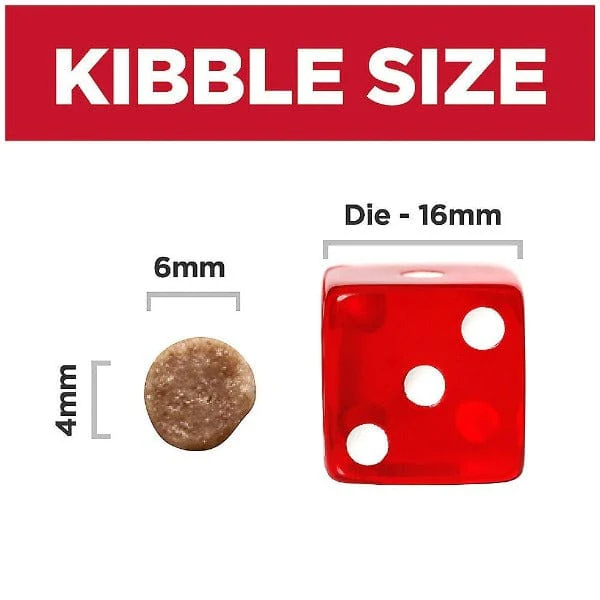 Science Diet Kitten Chicken Recipe Dry Cat Food - Image 5