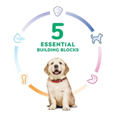 Science Diet Puppy Large Breed Chicken & Brown Rice Recipe Dry Dog Food - Image 4