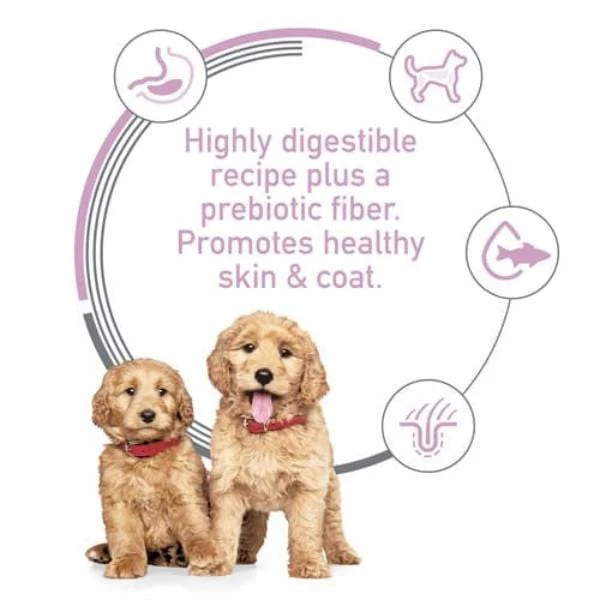 Science Diet Puppy Sensitive Stomach & Skin Salmon and Brown Rice Recipe Dry Dog Food - Image 2