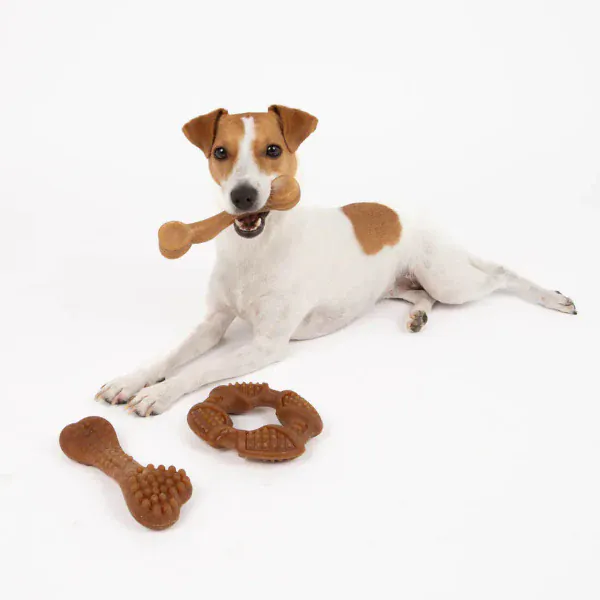 Silver Paw Bambooz Recycled Bamboo Fiber Dog Toys 3-Pack; Small - Image 4