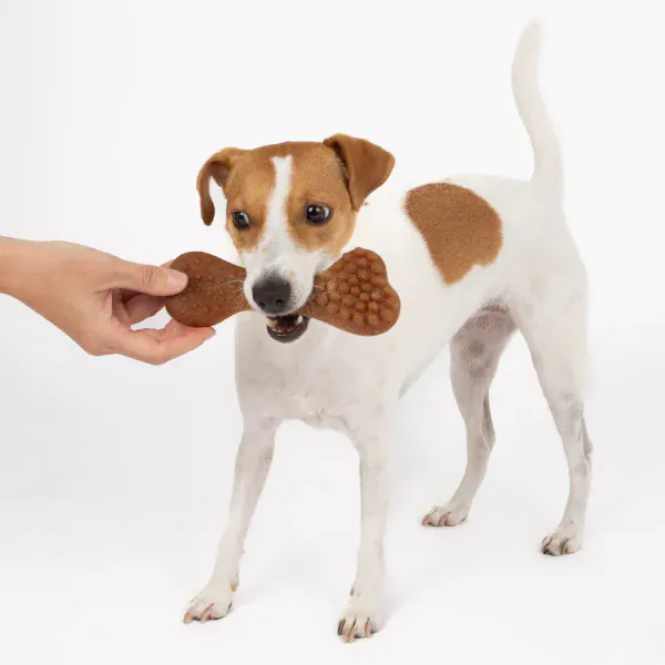 Silver Paw Bambooz Recycled Bamboo Fiber Dog Toys 3-Pack; Small - Image 5