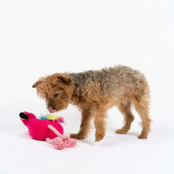 Silver Paw Flamingo Dog Toy - Image 2