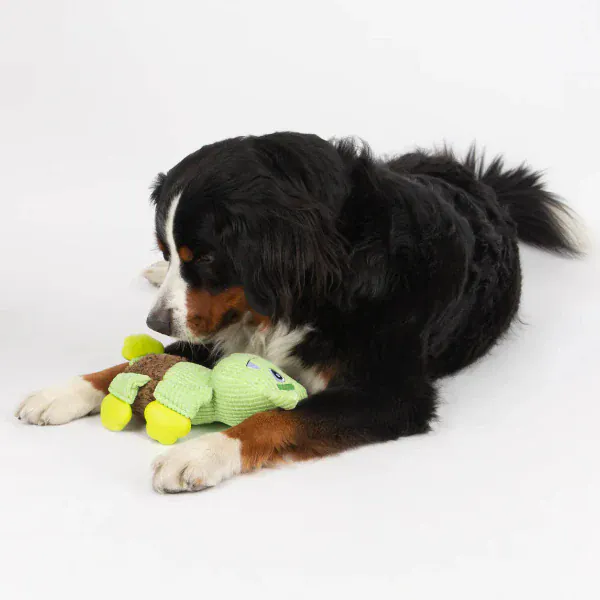 Silver Paw Fubeez Rubber Feet Ogre Dog Toy - Image 3
