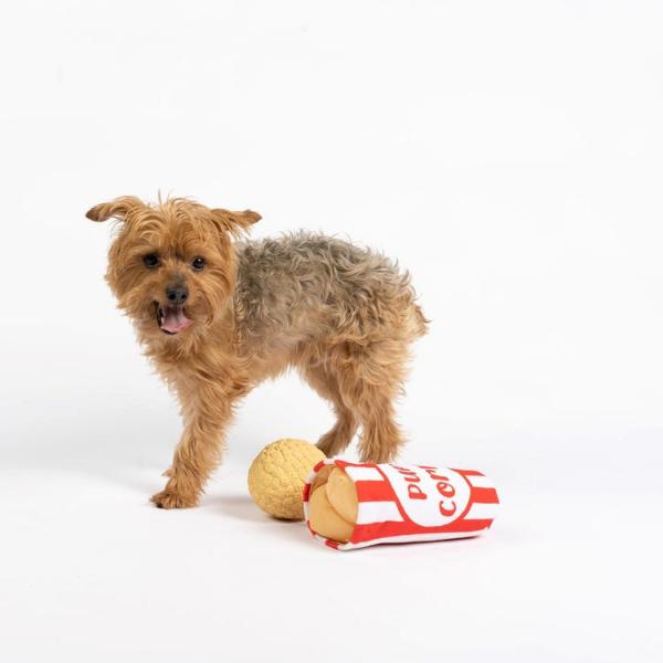Silver Paw Pupcorn Dog Toy - Image 3