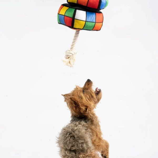Silver Paw Robix Cube Dog Toy - Image 3