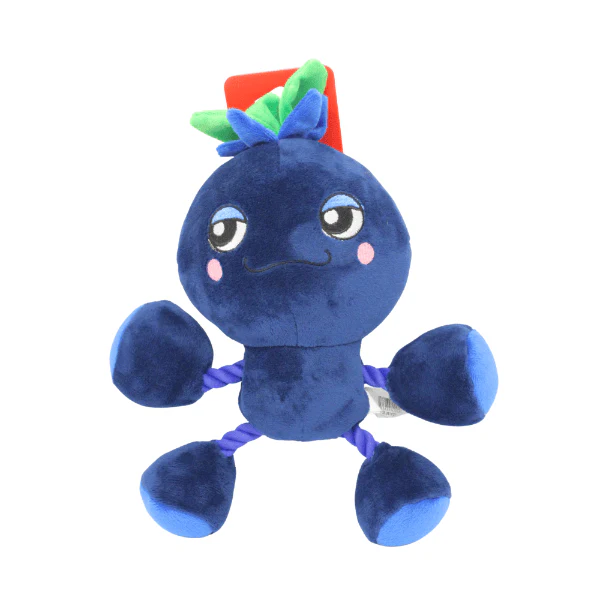 Silver Paw Ropez Ropefruit Blueberry Dog Toy