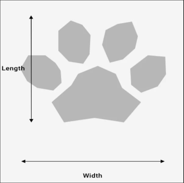 Silver Paw Waterproof Booties - Image 3