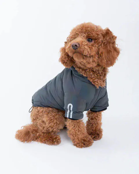 Silver Paw Yves Padded Winter Dog Jacket - Image 4