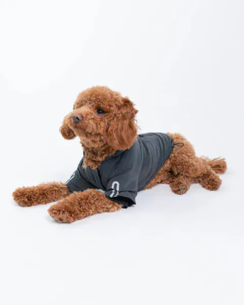 Silver Paw Yves Padded Winter Dog Jacket - Image 8
