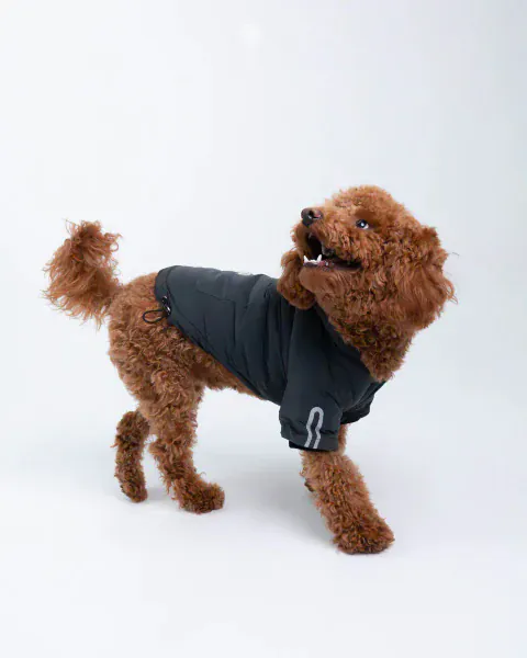Silver Paw Yves Padded Winter Dog Jacket - Image 9