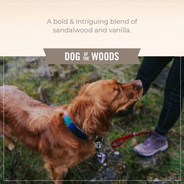 Skout's Honor Probiotic Shampoo & Conditioner; Dog of the Woods - Image 3