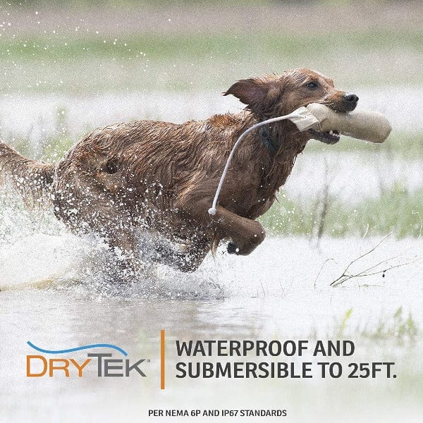 SportDOG SportHunter 1225X Remote Trainer - Image 6