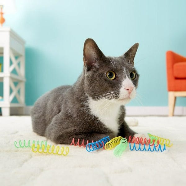 Spot Colorful Springs Cat Toy; Thin - Image 2