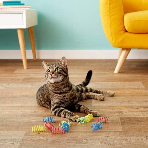 Spot Colorful Springs Cat Toy; Wide - Image 2