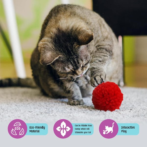 Spot Wool Pom Poms Catnip Cat Toy - Image 5