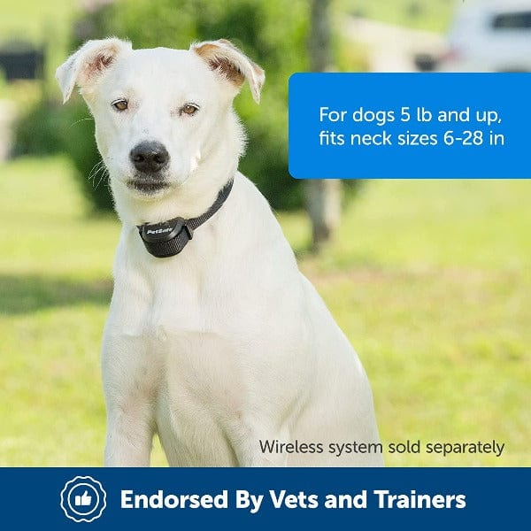 PetSafe Stay + Play Wireless Fence Extra Receiver Collar - Image 2