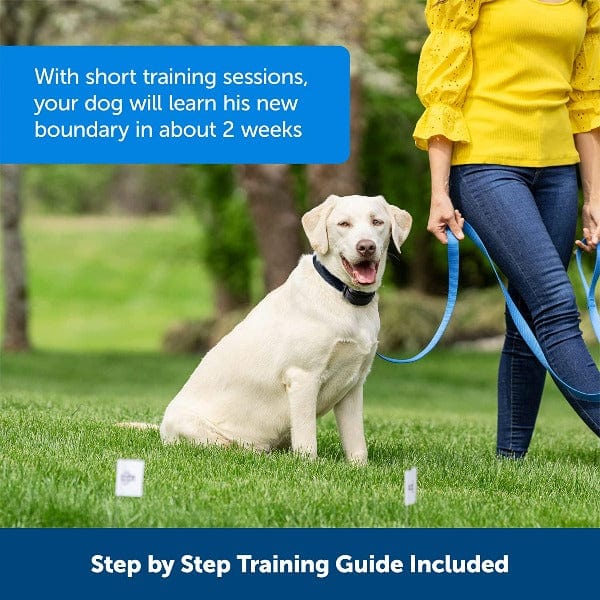 PetSafe Stay + Play Wireless Fence Extra Receiver Collar - Image 4