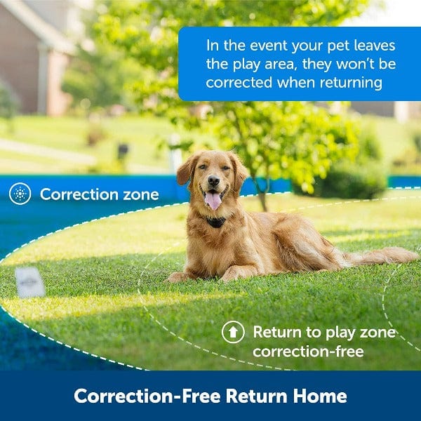 PetSafe Stay + Play Wireless Fence Extra Receiver Collar - Image 5
