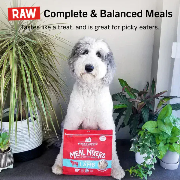 Stella & Chewy's Dandy Lamb Meal Mixers - Image 11