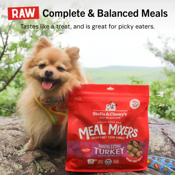 Stella & Chewy's Tantalizing Turkey Meal Mixers - Image 11