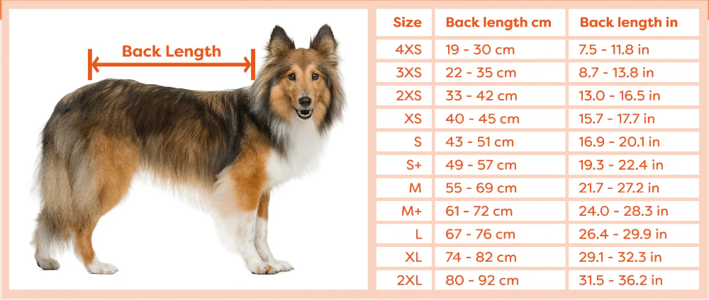 Suitical Recovery Suit for Dogs - Image 3