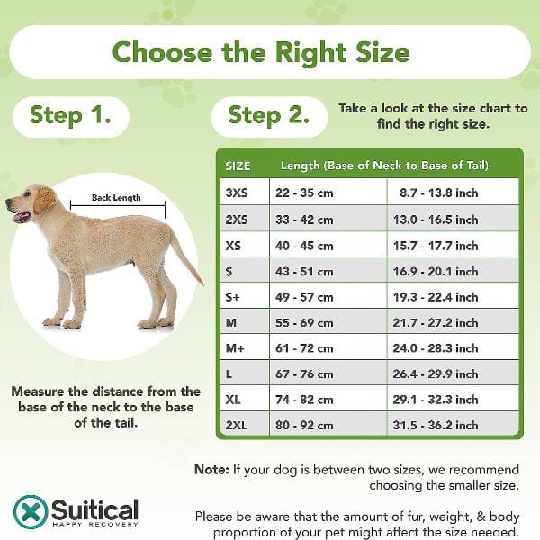 Suitical Recovery Suit for Dogs - Image 4