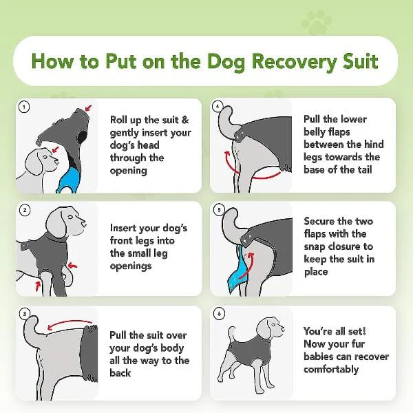 Suitical Recovery Suit for Dogs - Image 5