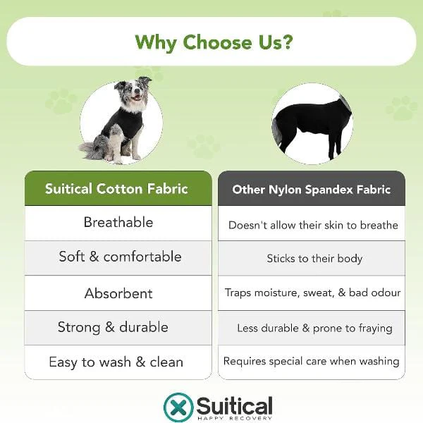 Suitical Recovery Suit for Dogs - Image 6