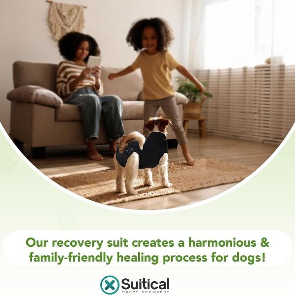 Suitical Recovery Suit for Dogs - Image 7