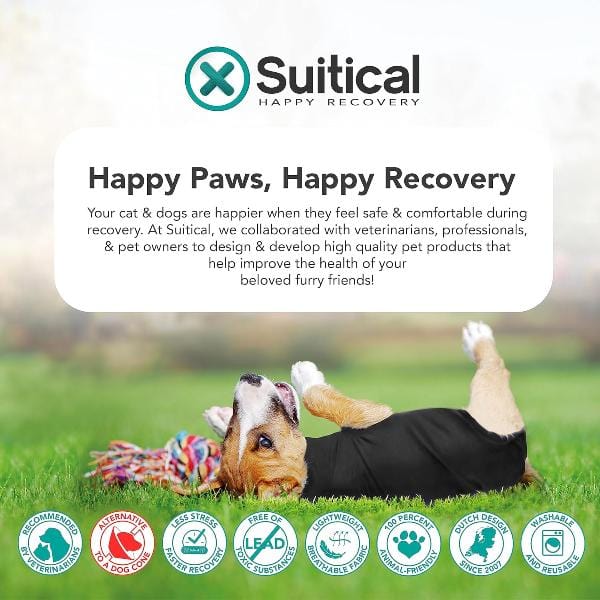 Suitical Recovery Suit for Dogs - Image 8