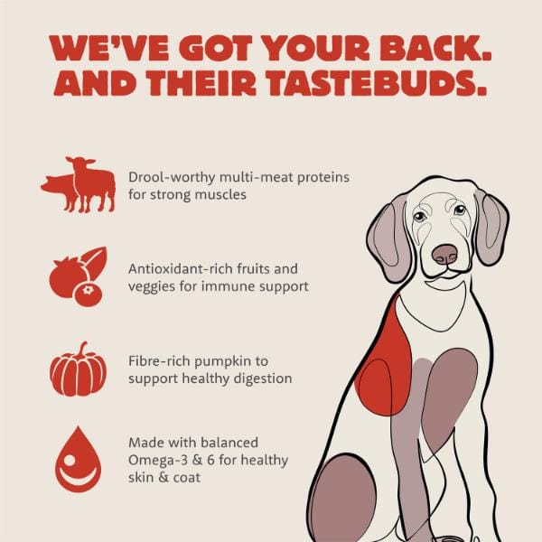 Summit Farmstead Feast Pork Meal & Lamb Meal Recipe Adult Dry Dog Food, 5lb - Image 2