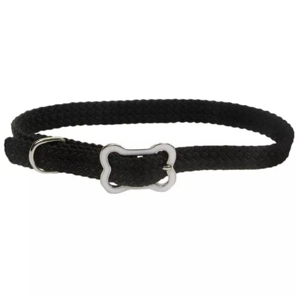 Coastal Sunburst Dog Collar with Bone Buckle - Image 4