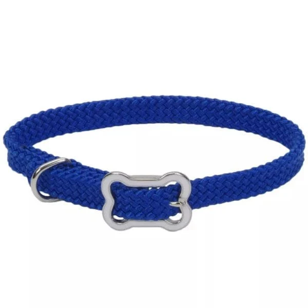 Coastal Sunburst Dog Collar with Bone Buckle - Image 5